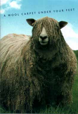 British Wool fibre