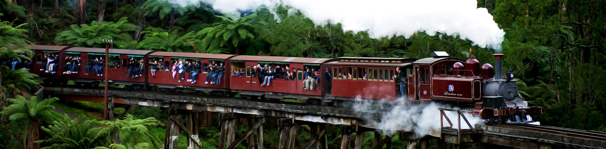 Puffing Billy Train Tour