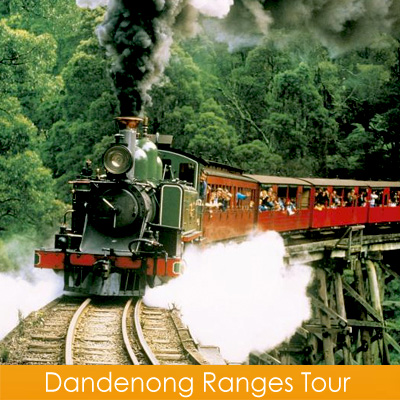Dandenong Ranges Tour