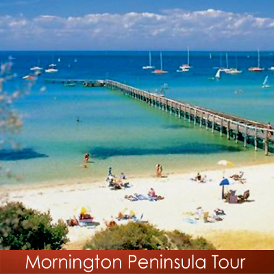 Mornington Peninsula Tour