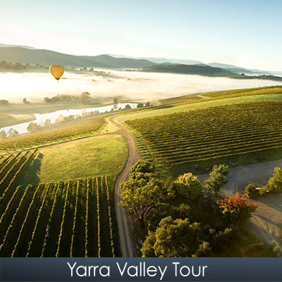 Yarra Valley Tour