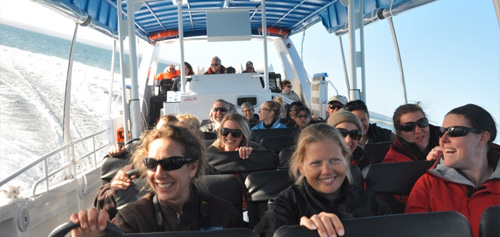 Eco Boat Tour - Phillip Island