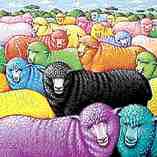 Custom Die 100% Wool Carpet
